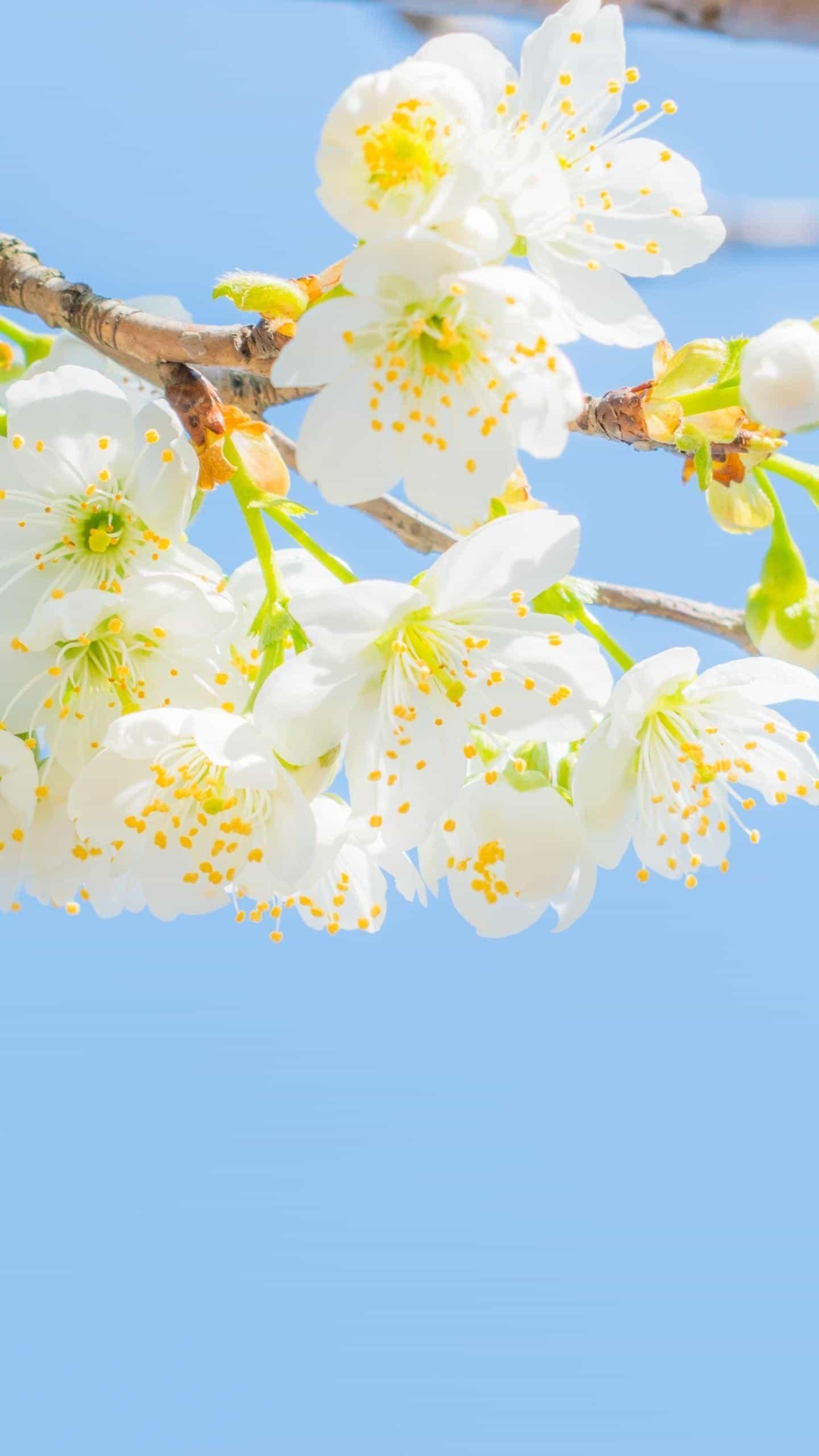 天津辦理公司營業(yè)執(zhí)照變更需要什么資料