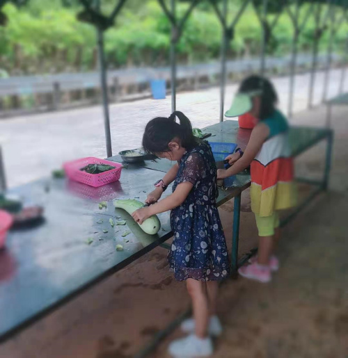 深圳適合親子游玩自己種菜摘菜做飯的農(nóng)家樂