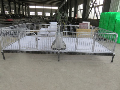 上海仔豬保育床「志航機(jī)械」小豬保育床廠家