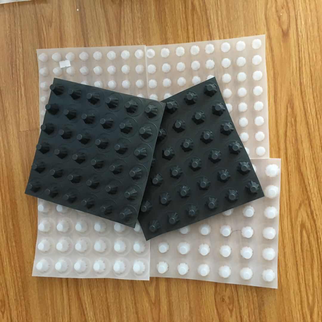 供應-重慶2公分凸點排水板濾水層