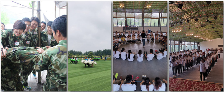 說出來你可能不信武漢團建拓展去樂農公司領導說這是很好的推薦