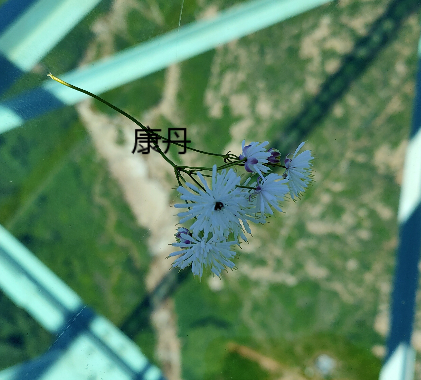 核甘肅蘭州國(guó)家局無(wú)區(qū)域科技公司的費(fèi)用大概多少