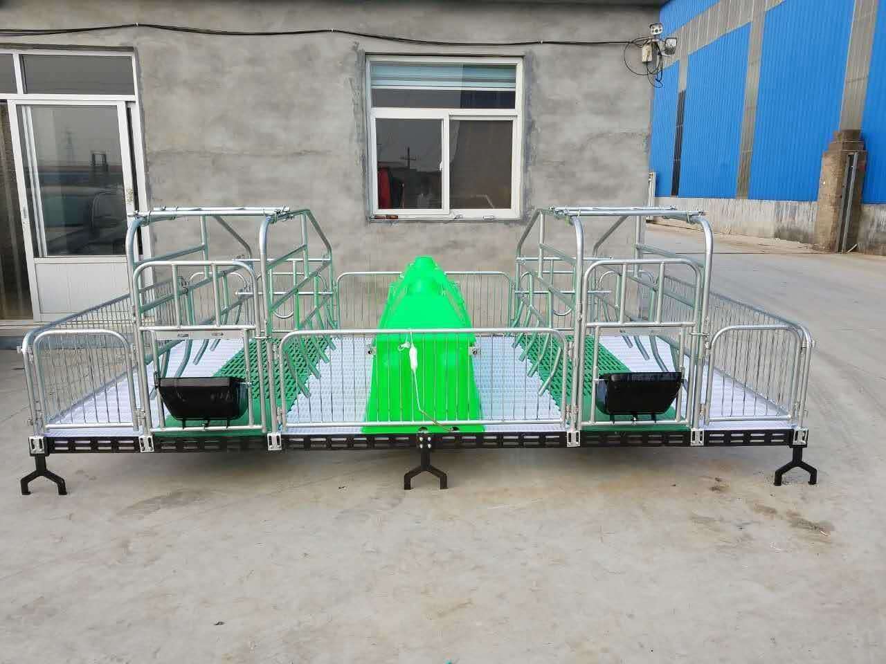 母豬雙體產(chǎn)床 母豬分娩床 養(yǎng)豬設(shè)備