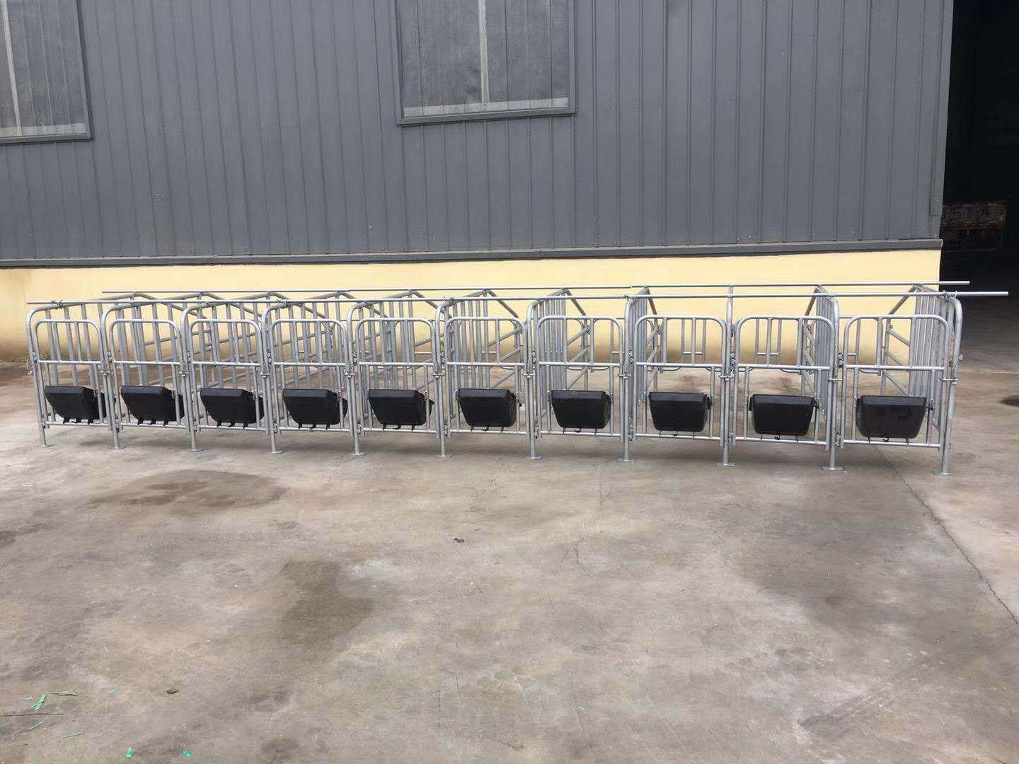 母豬限位欄 落地式定位欄 養(yǎng)豬設(shè)備