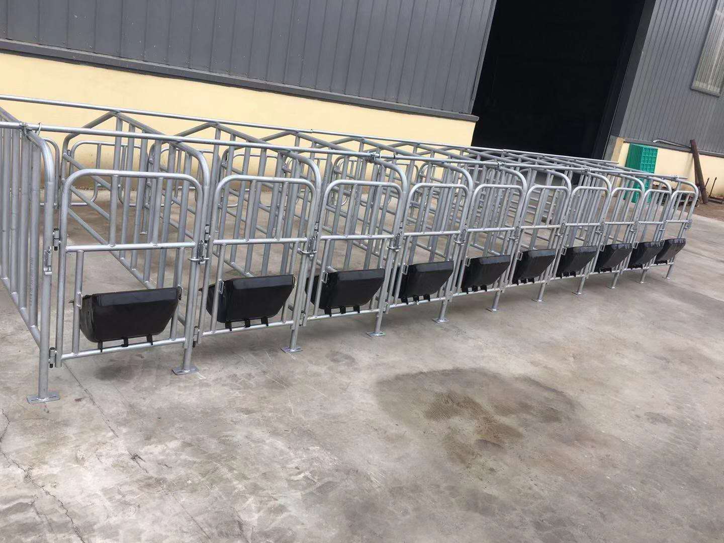 全復(fù)合母豬分娩產(chǎn)床產(chǎn)保一體床定位欄保育床漏糞板