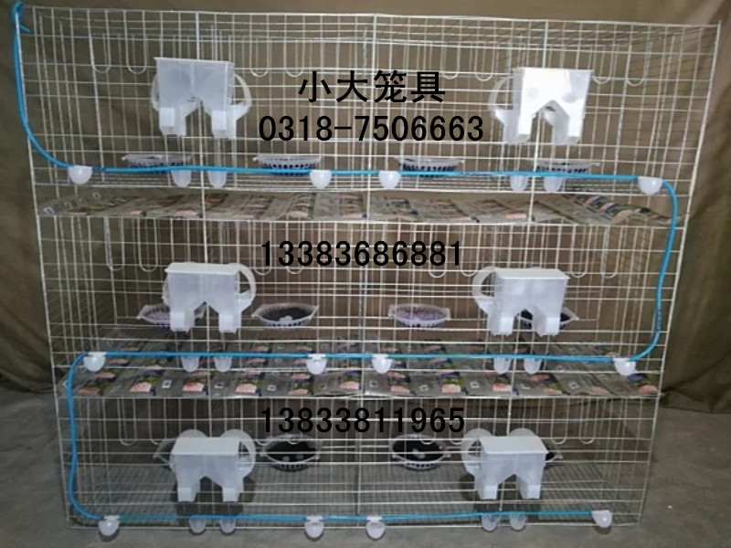 售鴿籠 兔籠 雞籠 鳥籠 狗籠 貉籠 鵪鶉籠 鷓鴣籠 運輸籠