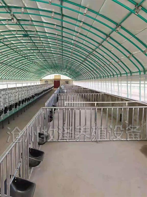 杭州畜牧養殖棚-養豬大棚-牧澤