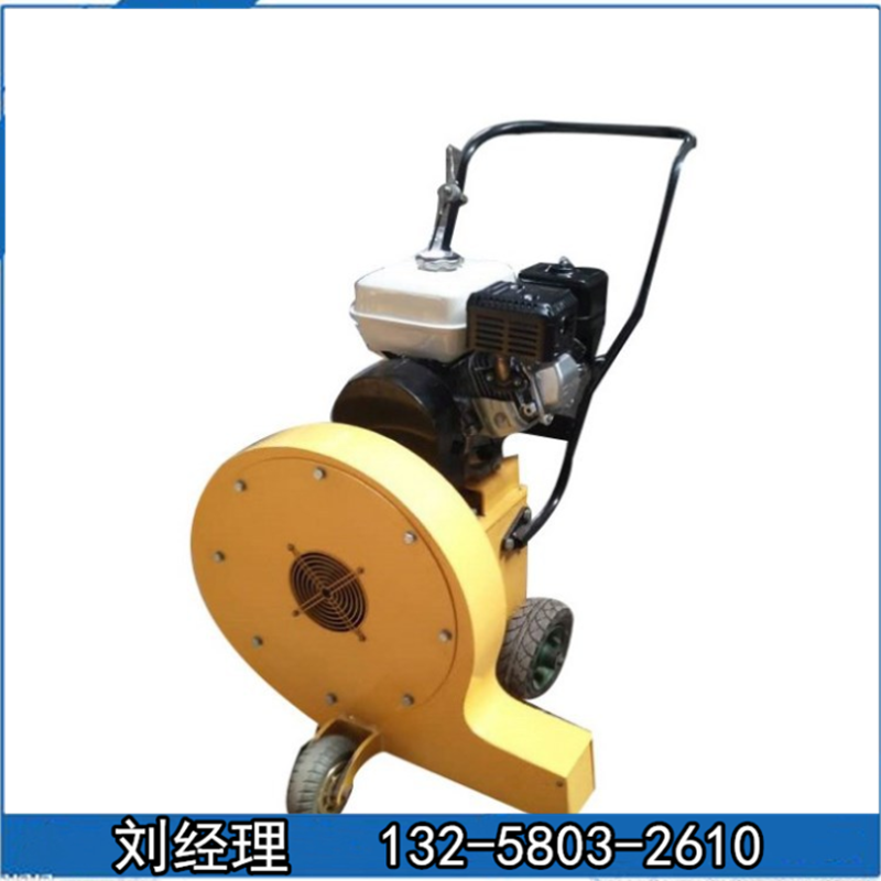 手推式道路吹風機 汽油路面吹風機 吹的干凈手推式吹風機