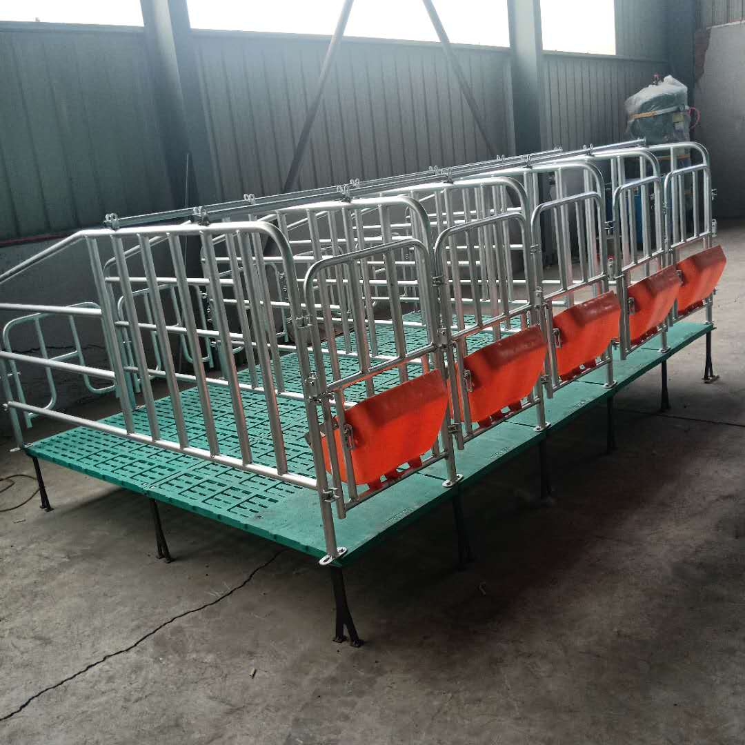 母豬定位欄限位欄豬用復(fù)合漏糞板養(yǎng)豬場(chǎng)圍欄 養(yǎng)殖設(shè)備