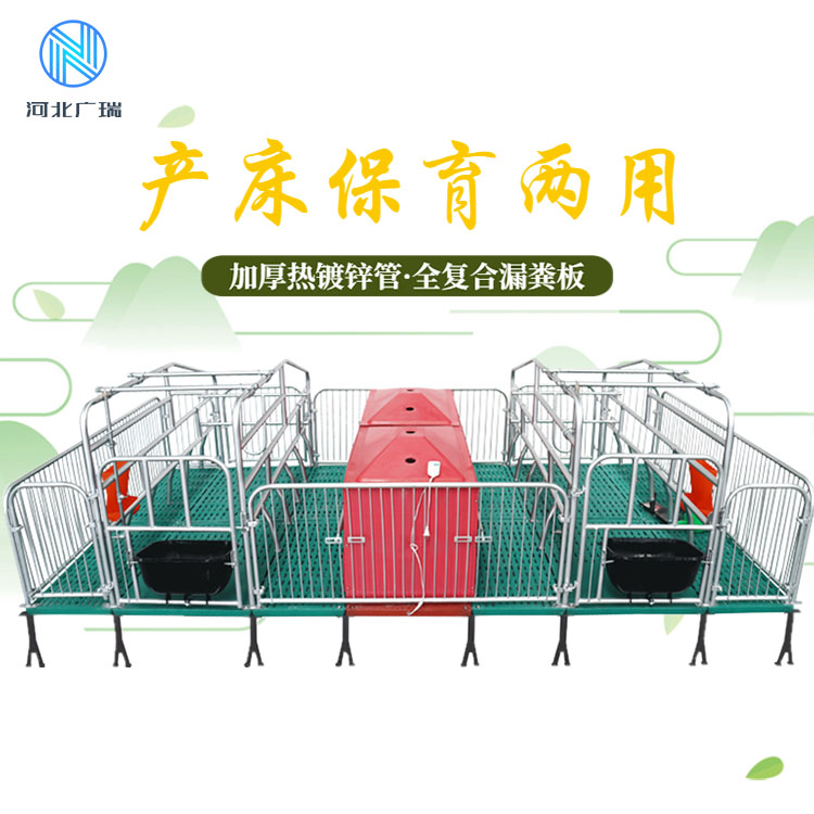 雙體母豬產(chǎn)床分娩床 仔豬保育 復(fù)合漏糞板 養(yǎng)殖設(shè)備