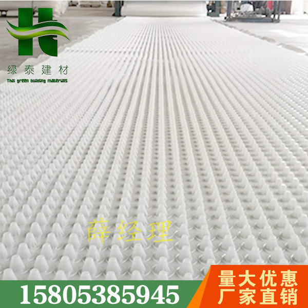 池州車庫種植隔根板丨1.2cm防排水板施工