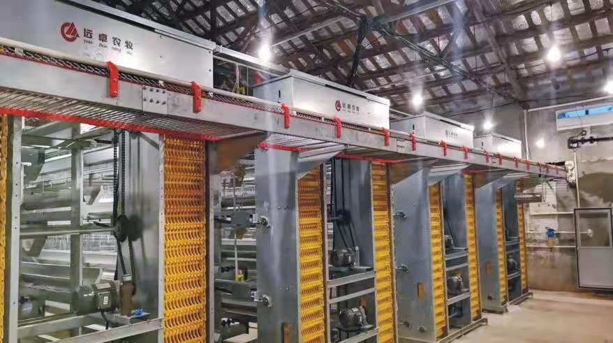 蛋雞籠層疊蛋雞籠全自動蛋雞籠工廠直銷鄭州遠卓農牧設備