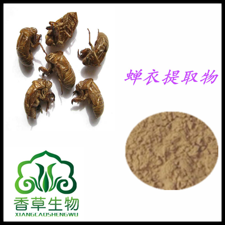 蟬衣提取物   蟬衣浸膏粉   蟬衣速溶粉