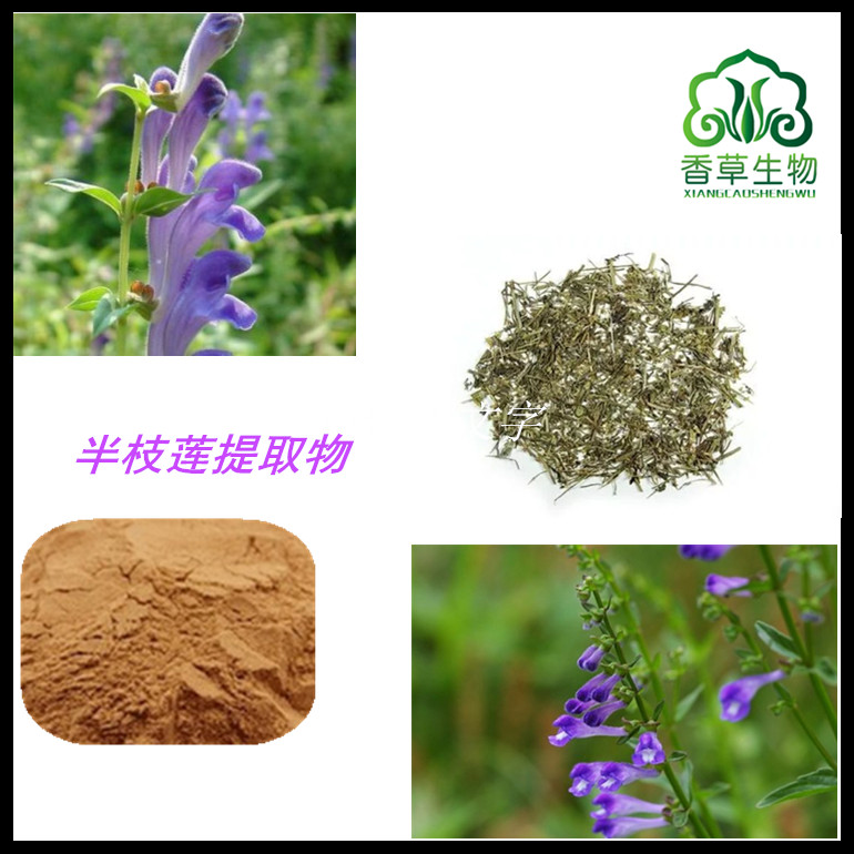 半枝蓮提取物   浸膏粉   半枝蓮速溶粉   提取液