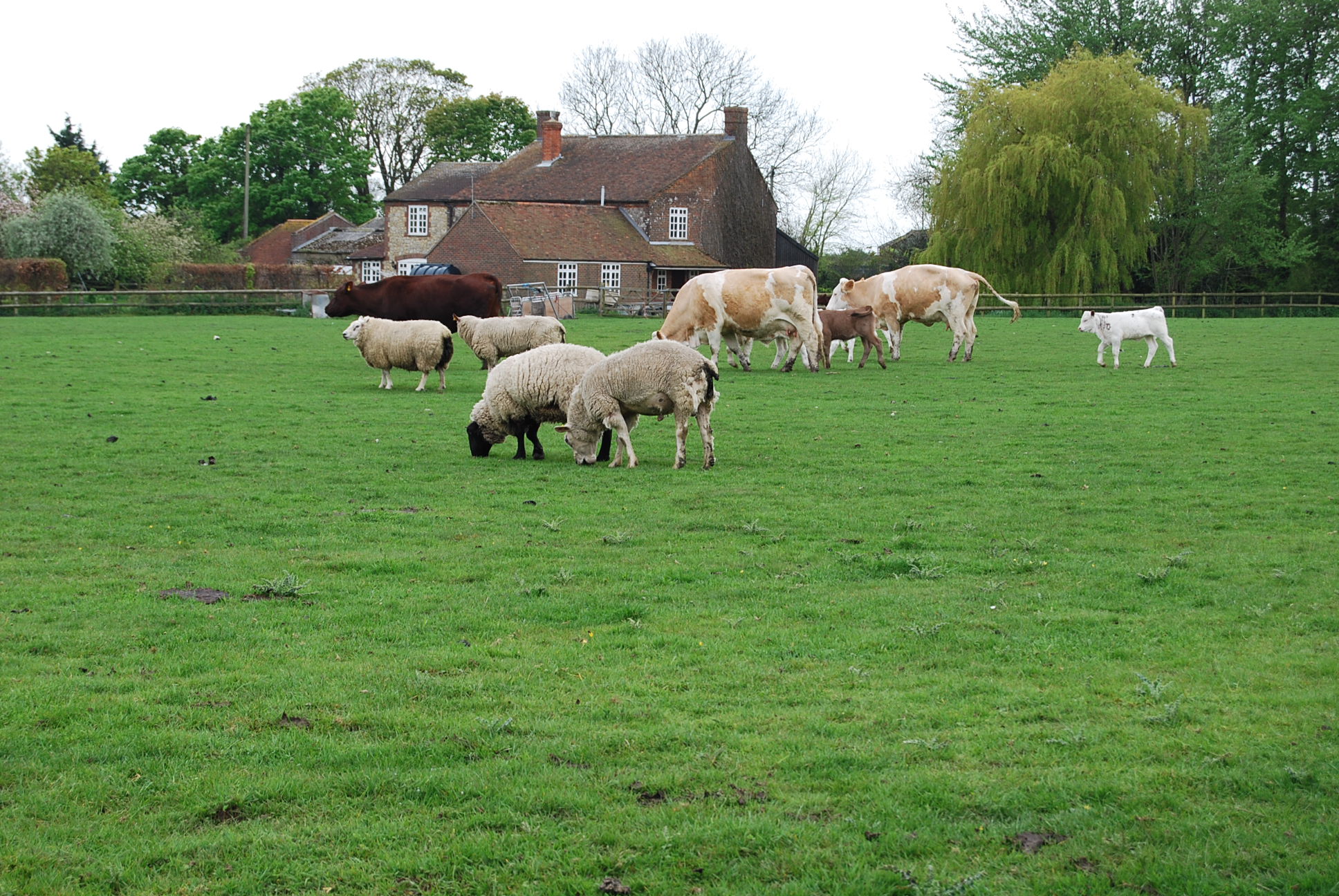 招聘畜牧廠工人包食宿蘇老師13333247867