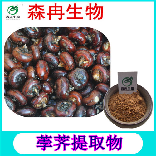 森冉生物 荸薺提取物 馬蹄提取物 植物提取原料粉