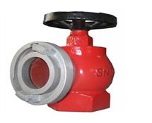 滄州鐵獅生產的消防栓