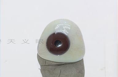 貴州高分子義眼材質有哪些|泊頭藝水碧天加工義眼
