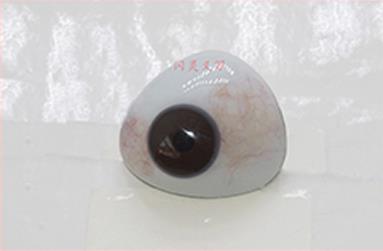 江蘇假眼能看到東西嗎-泊頭市藝水碧天公司訂做藍色過渡帶義眼