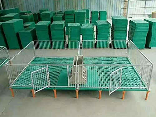 母豬復合定位欄經營「旺農畜牧」*貴州*浙江*河北