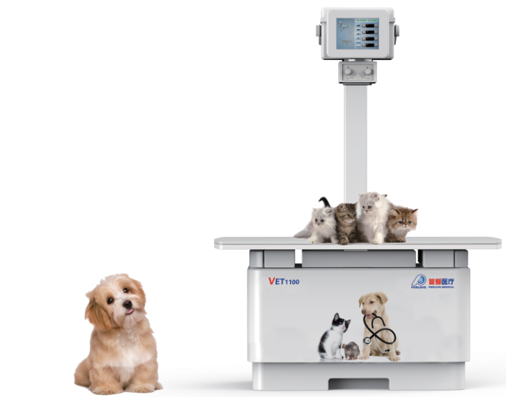 寵物數(shù)字化攝影系統(tǒng) 寵物DR選擇注意這幾點(diǎn)要素