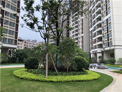 河源工廠綠化養護 河源蔚藍環境綠化