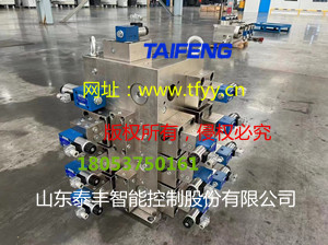 廠家直銷泰豐插裝閥