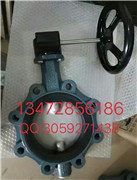 保證正品 德國EBRO依博羅渦輪蝶閥 Z014-A