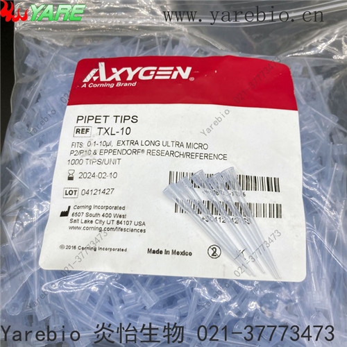 康寧槍頭原裝吸嘴 無DRNase無酶無熱源供應商