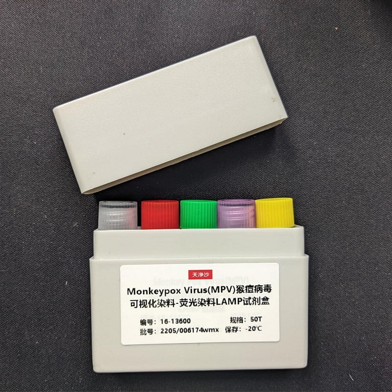 220961-50易錯RCA試劑盒（不含單鏈DNA環化成分）