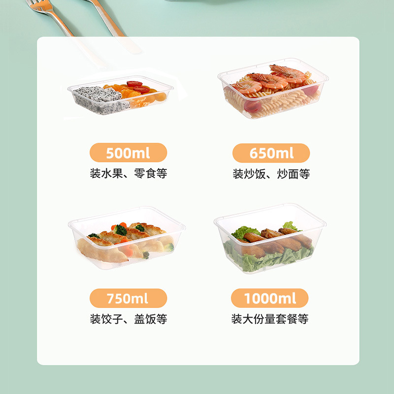 廠家生產各種PP加厚打包盒長方形快餐盒透明飯盒可定制