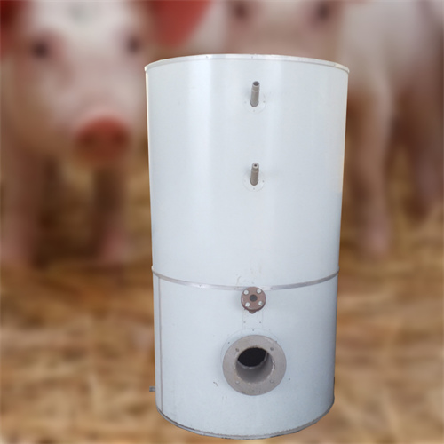 沼氣立式鍋爐 厭氧取暖設(shè)備 氣煤兩用采暖鍋爐