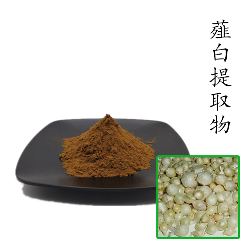 薤白提取物10:1 散裝濃縮粉
