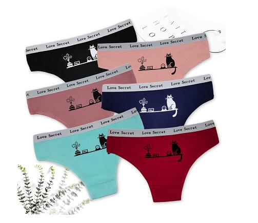 云夢妮外貿(mào)女士內(nèi)褲 印花比基尼跨境電商女式內(nèi)褲廠家貨源批發(fā)