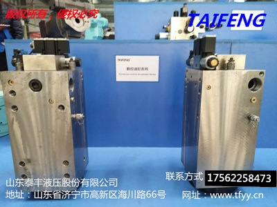 山東泰豐廠家供應油缸