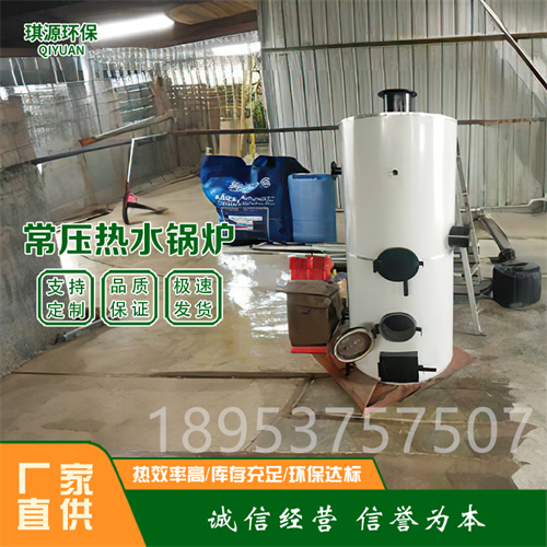 立式燃煤沼氣常壓鍋爐 養(yǎng)殖工業(yè)生活取暖設(shè)備 供暖燃?xì)鉄崴仩t