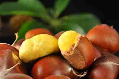 板栗報關清關進口代理