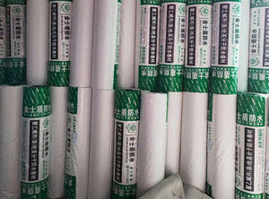 世紀雨王防水材料,防水卷材