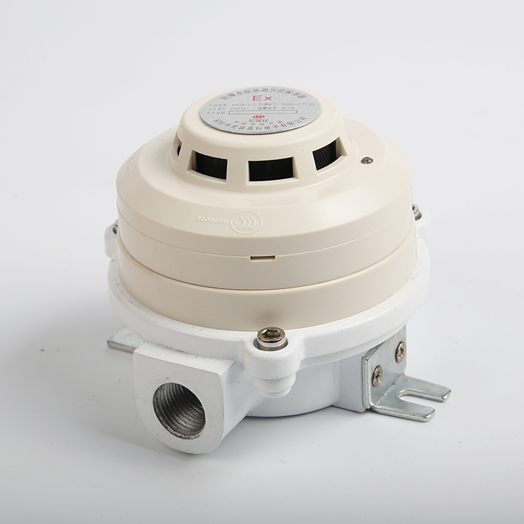 特氣柜/分析小屋電池艙防爆復合型感煙感溫火災探測器RS485