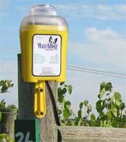 Frost Alert霜凍預警系統